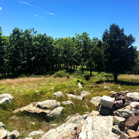 Delaware River to Great Barrington