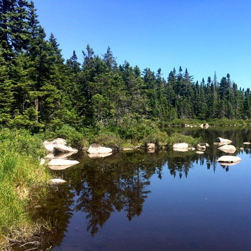 WMNF: Kilkenny Range