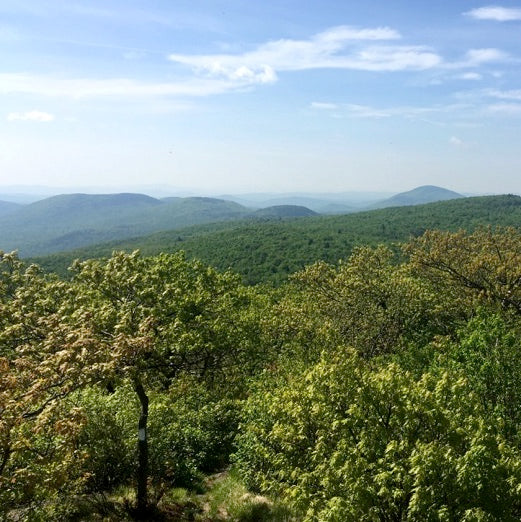 Monadnock-Sunapee Greenway