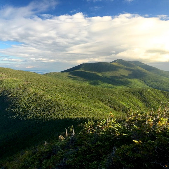 WMNF: Pemigewasset Region