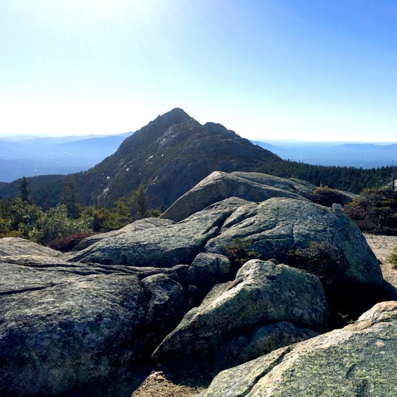 WMNF: Sandwich Range Region