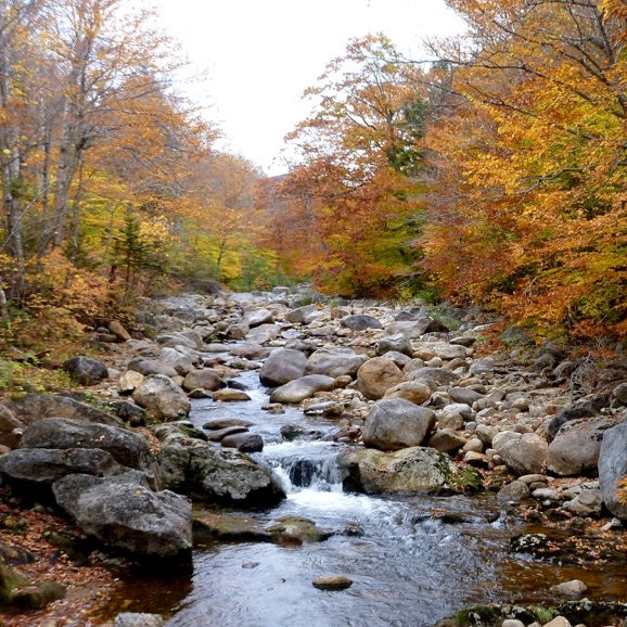 WMNF: Wild River Region