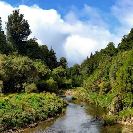 Te Araroa North, Wellington