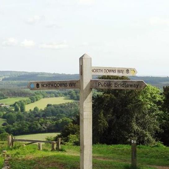 FarOut Business: North Downs Way