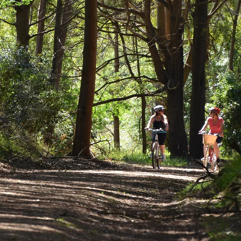 FarOut Business: Great Southern Rail Trail