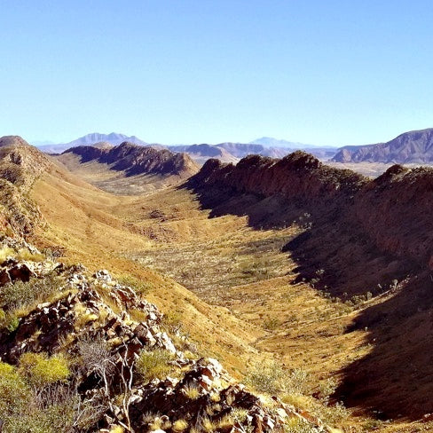 Larapinta Trail