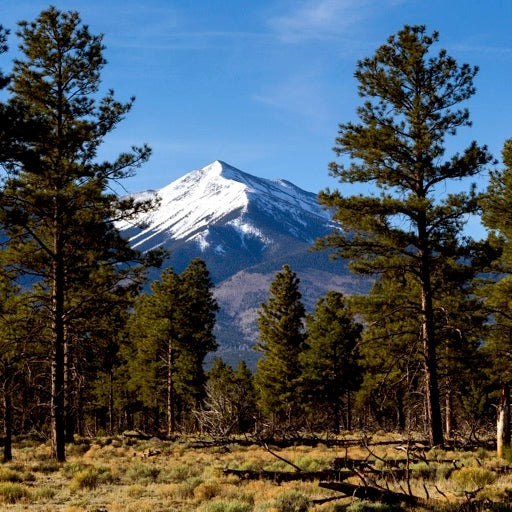 AZT San Francisco Peaks Passage