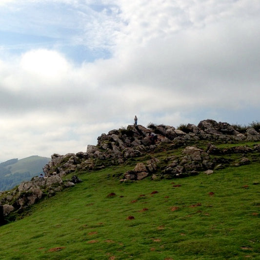 Camino Frances to Pamplona