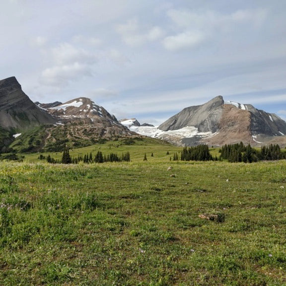 Great Divide Trail Section F