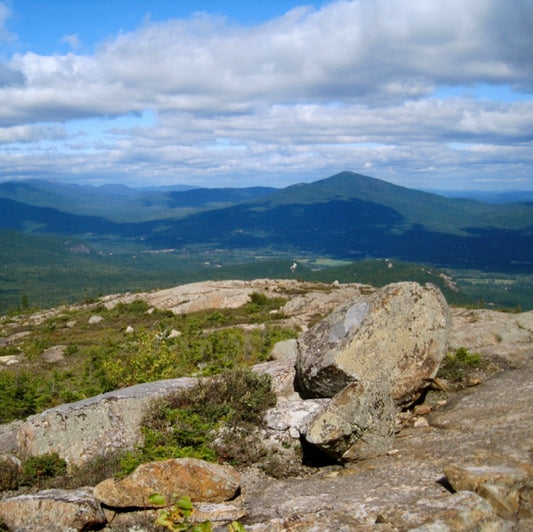 WMNF: Moat Mountain