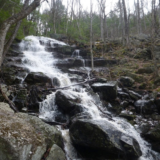 Tully Trail