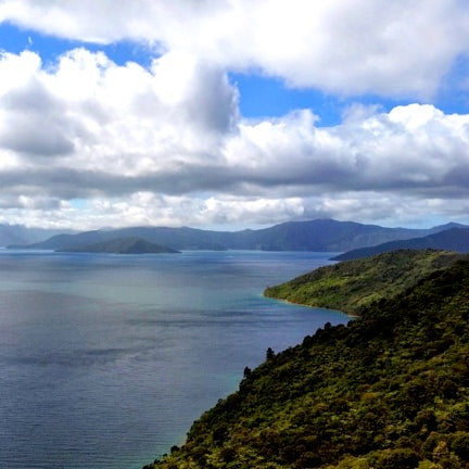 Te Araroa South, Ship Cove