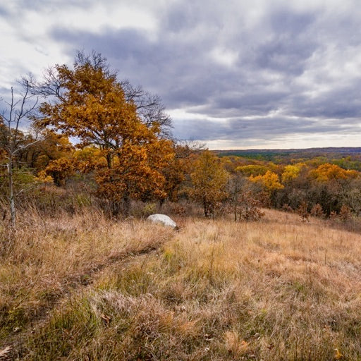 Ice Age Trail: Kettle Moraine State Forest