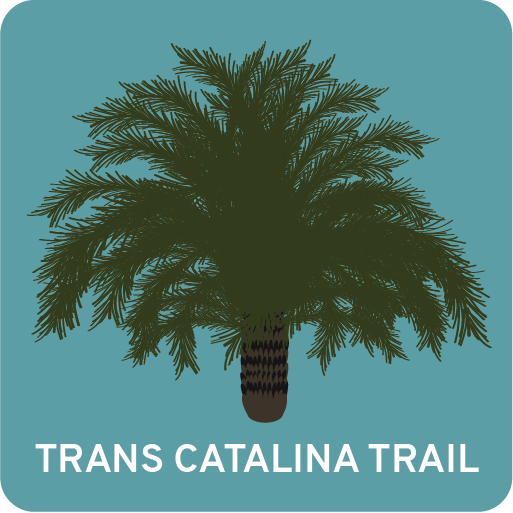 Trans Catalina Trail Hiking Guide